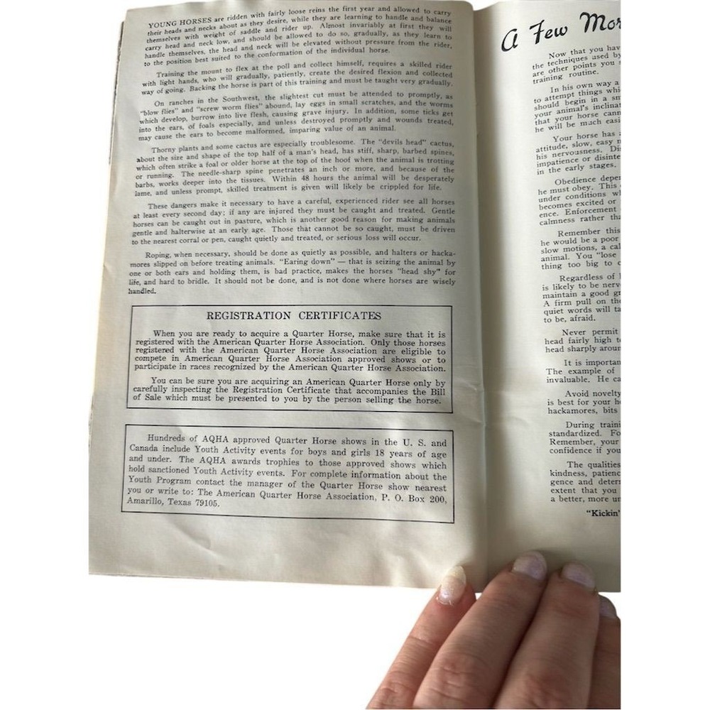 AQHA Training Riding Horses Booklet Unisex OS Blue Vintage Western Guide - Picture 3 of 11